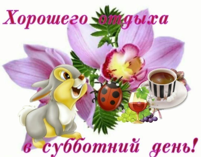 WhatsApp-Image-2018-11-24-at-14.12.36-768x600.jpeg